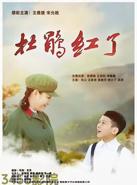杜鹃红了 国产剧全集